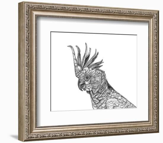 Cockatoo Portrait-Lucy Francis-Framed Art Print