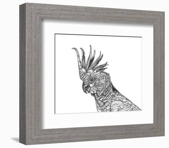 Cockatoo Portrait-Lucy Francis-Framed Art Print