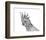 Cockatoo Portrait-Lucy Francis-Framed Art Print