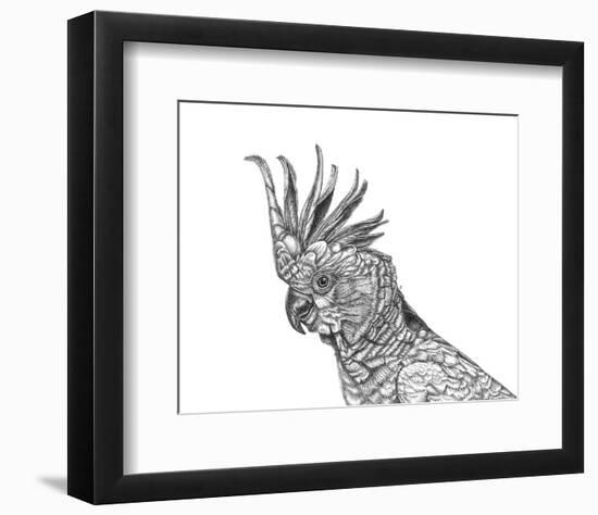Cockatoo Portrait-Lucy Francis-Framed Art Print