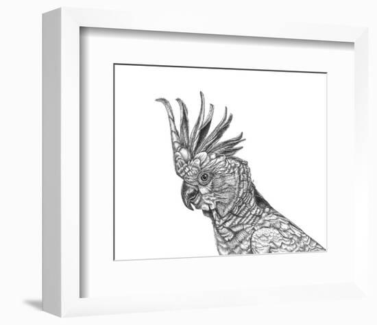 Cockatoo Portrait-Lucy Francis-Framed Art Print