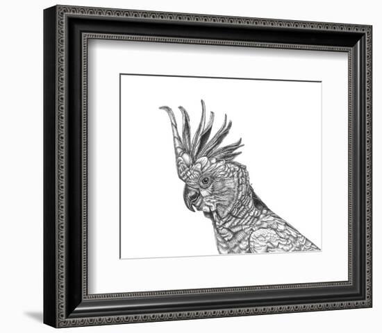 Cockatoo Portrait-Lucy Francis-Framed Art Print