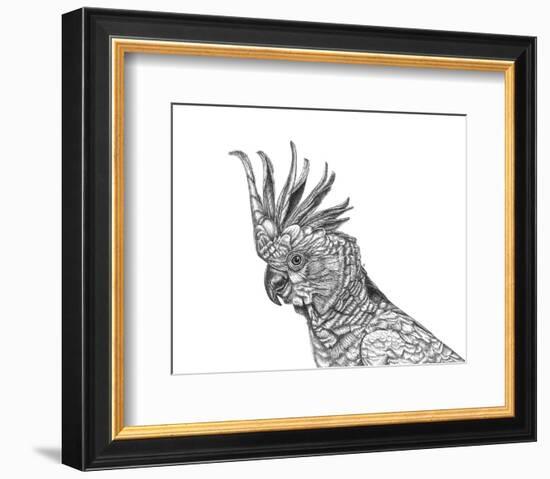 Cockatoo Portrait-Lucy Francis-Framed Art Print