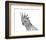 Cockatoo Portrait-Lucy Francis-Framed Art Print