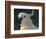 Cockatoo, Sydney Harbor, Australia-David Wall-Framed Photographic Print