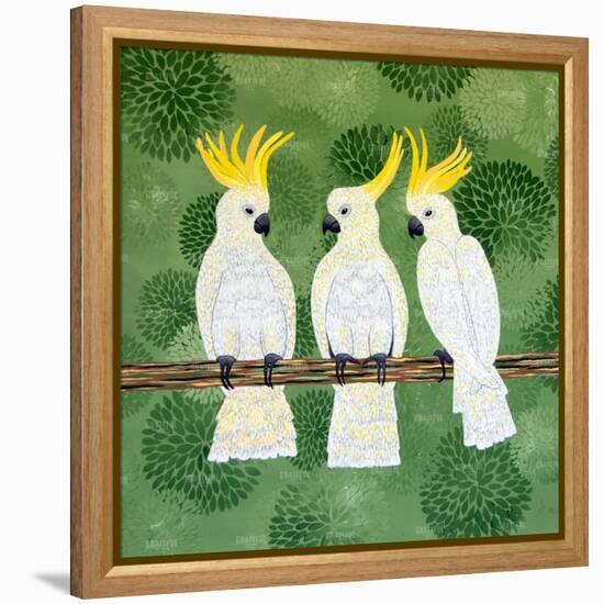 Cockatoo Trio-Lisa Frances Judd-Framed Stretched Canvas