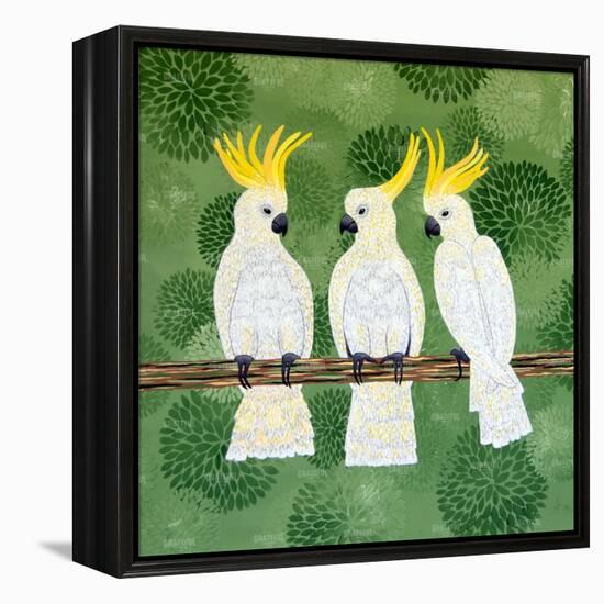 Cockatoo Trio-Lisa Frances Judd-Framed Stretched Canvas