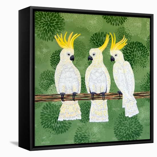 Cockatoo Trio-Lisa Frances Judd-Framed Stretched Canvas