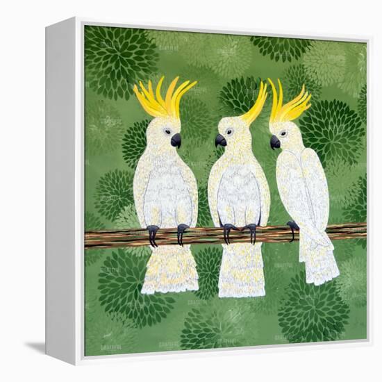 Cockatoo Trio-Lisa Frances Judd-Framed Stretched Canvas