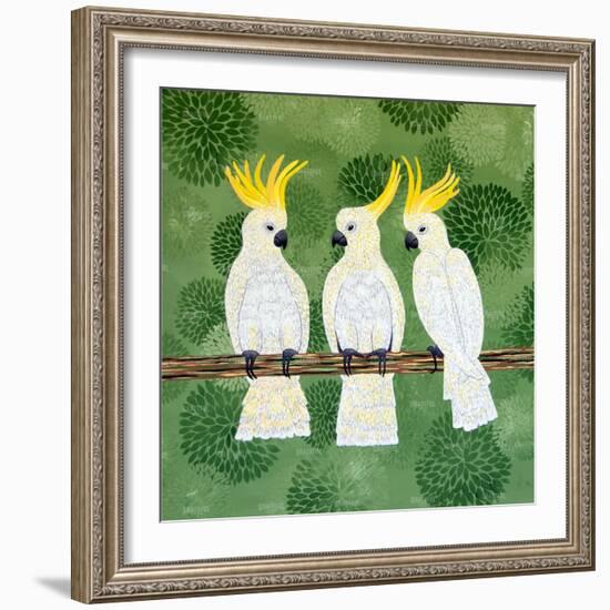 Cockatoo Trio-Lisa Frances Judd-Framed Art Print