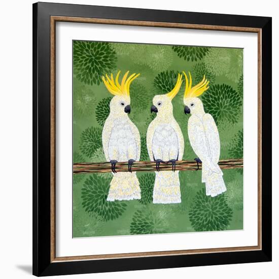 Cockatoo Trio-Lisa Frances Judd-Framed Art Print