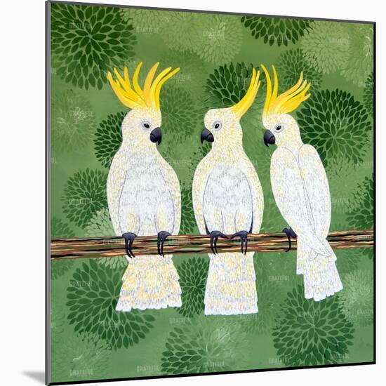 Cockatoo Trio-Lisa Frances Judd-Mounted Art Print