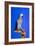 Cockatoo-null-Framed Photographic Print