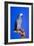 Cockatoo-null-Framed Photographic Print