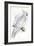 Cockatoo-Stellar Design Studio-Framed Art Print