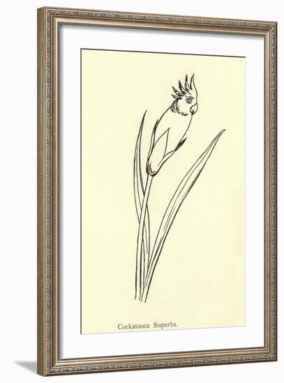 Cockatooca Superba-Edward Lear-Framed Giclee Print