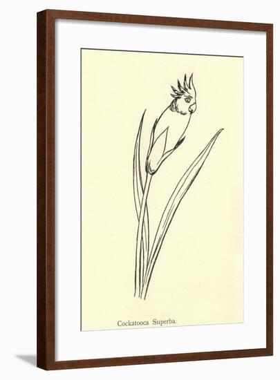 Cockatooca Superba-Edward Lear-Framed Giclee Print