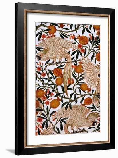 Cockatoos and Pomegranate-Walter Crane-Framed Giclee Print