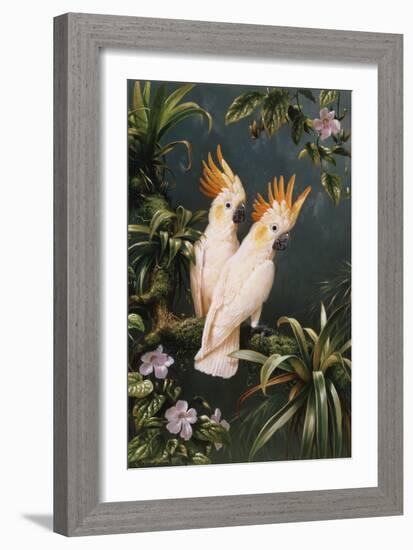 Cockatoos-Michael Jackson-Framed Giclee Print