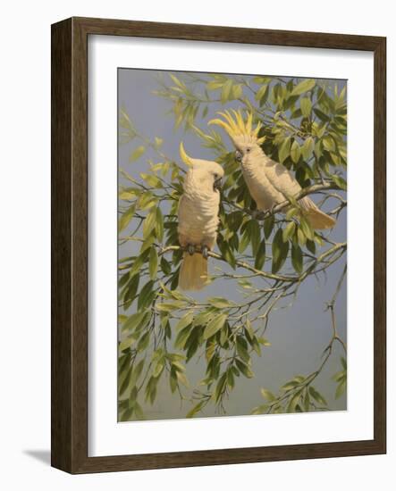 Cockatoos-Michael Jackson-Framed Giclee Print