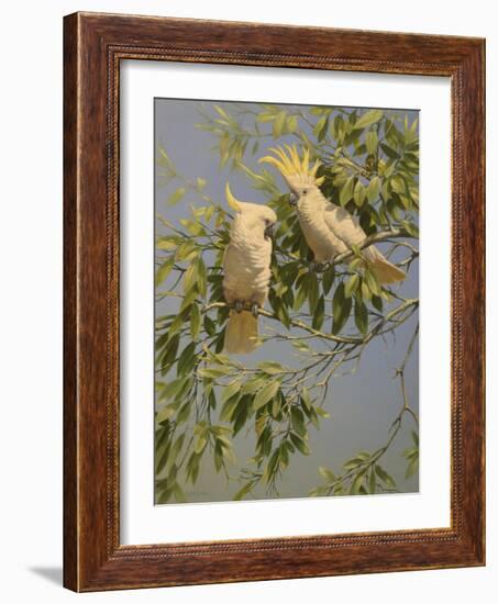 Cockatoos-Michael Jackson-Framed Giclee Print