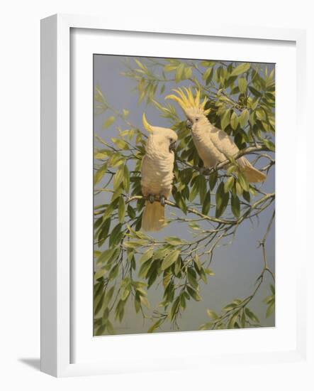 Cockatoos-Michael Jackson-Framed Giclee Print