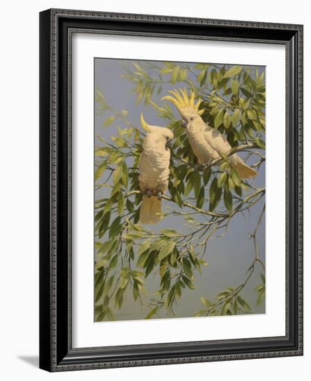 Cockatoos-Michael Jackson-Framed Giclee Print