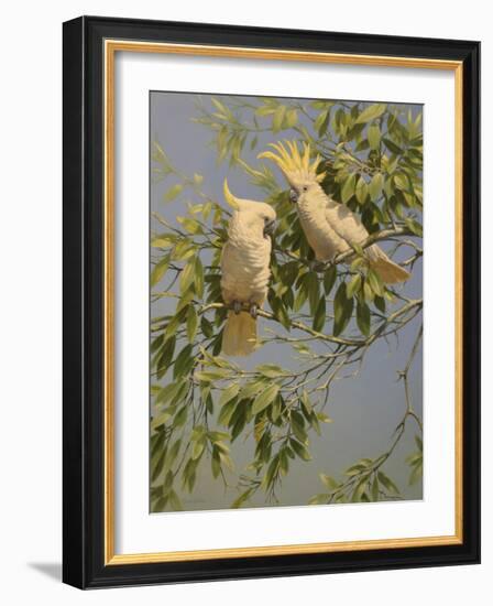 Cockatoos-Michael Jackson-Framed Giclee Print