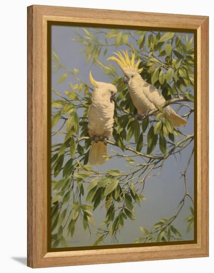 Cockatoos-Michael Jackson-Framed Premier Image Canvas