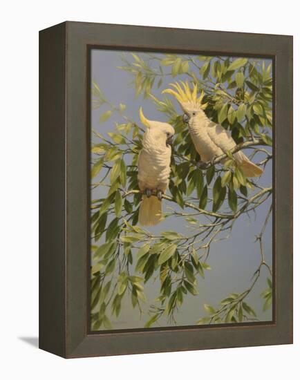 Cockatoos-Michael Jackson-Framed Premier Image Canvas