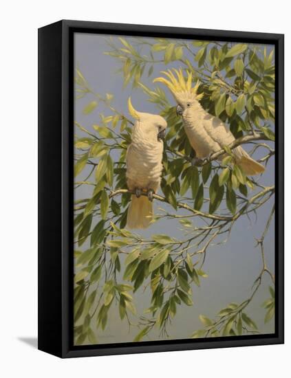 Cockatoos-Michael Jackson-Framed Premier Image Canvas