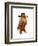 Cocker Spaniel Cowboy-Fab Funky-Framed Art Print