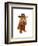 Cocker Spaniel Cowboy-Fab Funky-Framed Art Print