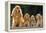 Cocker Spaniel Dogs, Adult and Puppies Sitting in a Row-null-Framed Premier Image Canvas