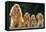 Cocker Spaniel Dogs, Adult and Puppies Sitting in a Row-null-Framed Premier Image Canvas