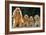 Cocker Spaniel Dogs, Adult and Puppies Sitting in a Row-null-Framed Photographic Print