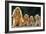 Cocker Spaniel Dogs, Adult and Puppies Sitting in a Row-null-Framed Photographic Print