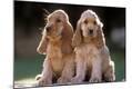 Premium Photographic Print