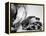 Cocker Spaniel Keeping Cool with Electric Fan-Bettmann-Framed Premier Image Canvas