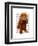 Cocker Spaniel Plain-Fab Funky-Framed Art Print