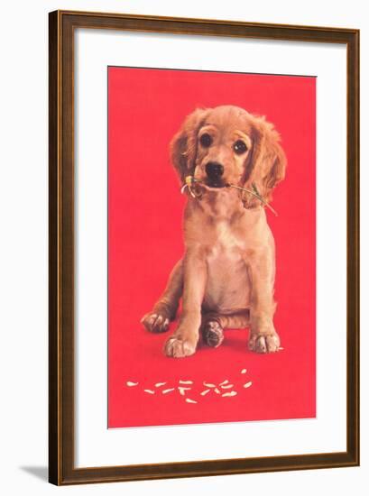 Cocker Spaniel Puppy-null-Framed Art Print