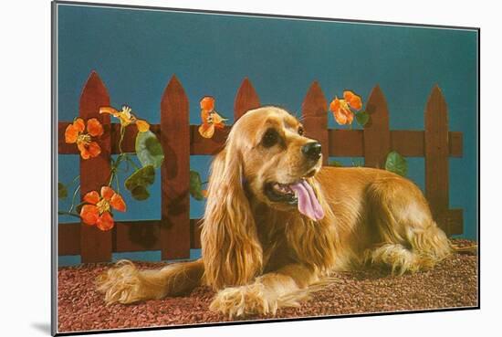 Cocker Spaniel, Retro-null-Mounted Art Print