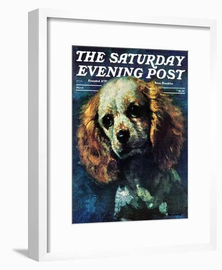 "Cocker Spaniel," Saturday Evening Post Cover, March 1, 1975-L. Mayer-Framed Giclee Print