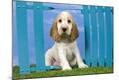 Premium Photographic Print
