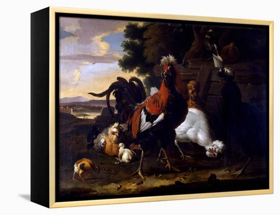 Cockerel, Hens and Chicks by a Fence in a Wooded Landscape-Melchior de Hondecoeter-Framed Premier Image Canvas