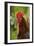 Cockerel-null-Framed Photographic Print