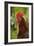 Cockerel-null-Framed Photographic Print