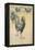 Cockerel-Theophile Alexandre Steinlen-Framed Premier Image Canvas