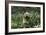 Cockerpoo 24-Bob Langrish-Framed Photographic Print