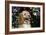 Cockerpoo 25-Bob Langrish-Framed Photographic Print